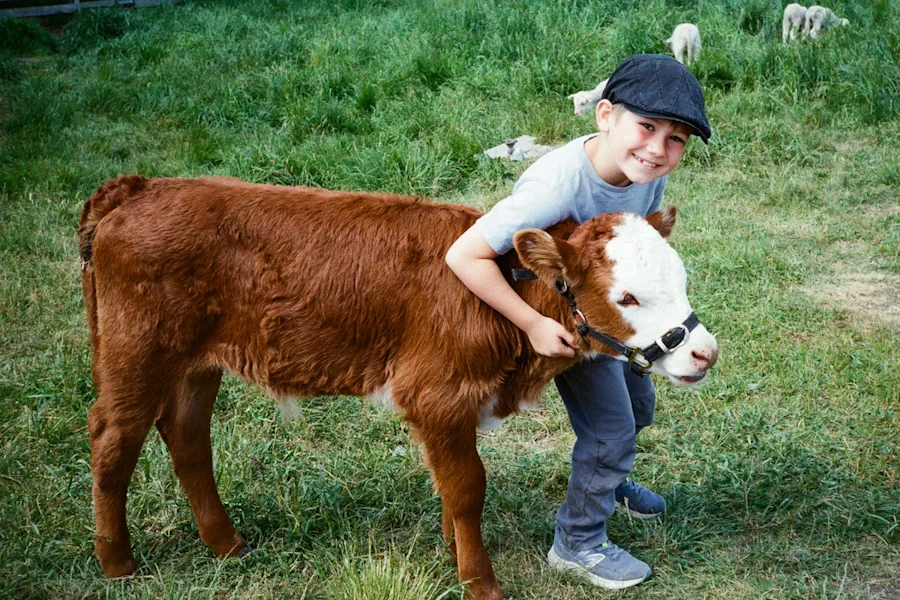 4H ger en grund för framtida ledarskap